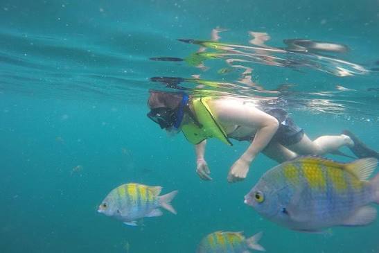 Snorkel con peces de colores en Isla Tortuga