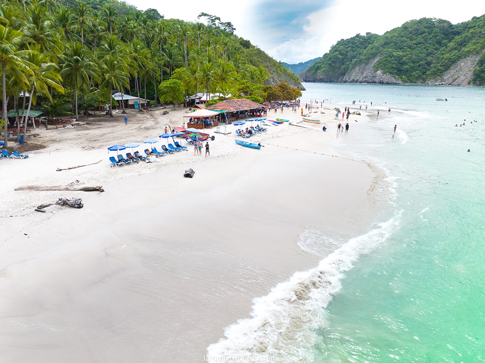 Palmeras tropicales, Isla Tortuga